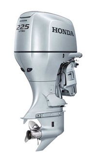 bf225.jpg